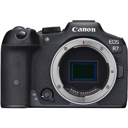 Изображение Canon EOS R7 Body