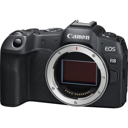 Изображение Canon EOS R8 Body