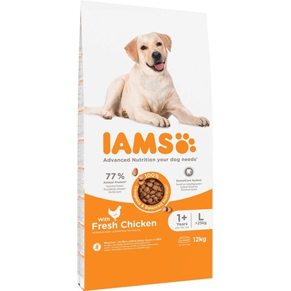 Picture of IAMS for Vitality Adult Large Breed - dry dog ​​food - 12 kg