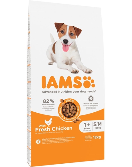 Picture of IAMS for Vitality Adult Small & Medium - dry dog ​​food - 12 kg