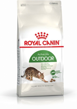 Picture of Royal Canin Active Life Outdoor sausas kačių maistas 4 kg Suaugusių Paukštiena