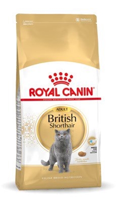 Picture of Royal Canin British Shorthair Adult sausas kačių maistas 4 kg Suaugusių