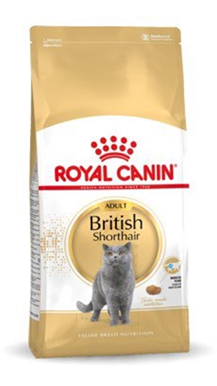 Изображение Royal Canin British Shorthair Adult sausas kačių maistas 4 kg Suaugusių