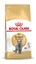 Изображение Royal Canin British Shorthair Adult sausas kačių maistas 4 kg Suaugusių