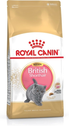 Attēls no Royal Canin British Shorthair Kitten sausas kačių maistas 2 kg Kačiukas Paukštiena, Ryžiai, Daržovių