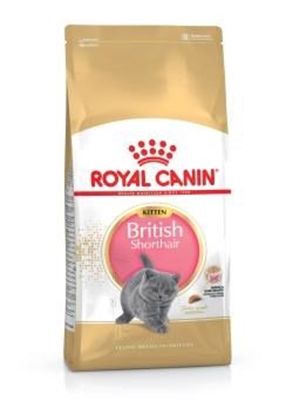 Attēls no Royal Canin British Shorthair Kitten sausas kačių maistas 400 g Suaugusių Paukštiena