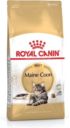 Attēls no Royal Canin FBN Maine Coon Adult -  sausas ėdalas suaugusioms katėms - 4kg