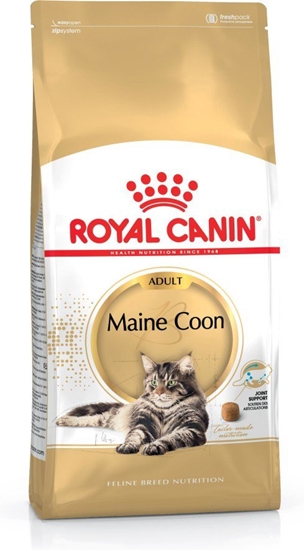 Изображение Royal Canin FBN Maine Coon Adult -  sausas ėdalas suaugusioms katėms - 4kg