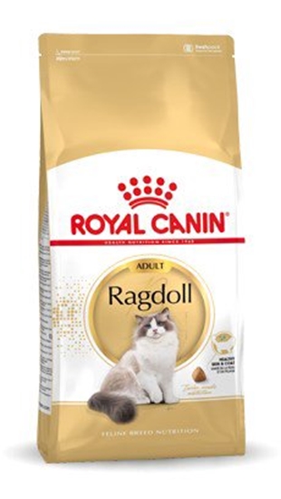 Picture of Royal Canin FBN Ragdoll Adult sausas kačių maistas 2 kg