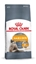 Изображение Royal Canin Hair & Skin Care sausas kačių maistas 10 kg Suaugusių