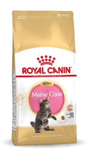 Изображение Royal Canin Maine Coon Kitten sausas kačių maistas 10 kg