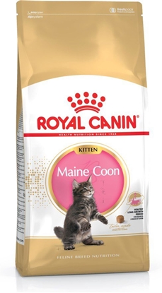 Picture of sausas kačių maistas Royal Canin Maine Coon Kitten Kačiukas Paukštiena, Ryžiai 400 g