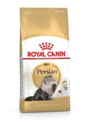 Изображение Royal Canin Persian sausas kačių maistas 4 kg Suaugusių Geltona, Paukštiena