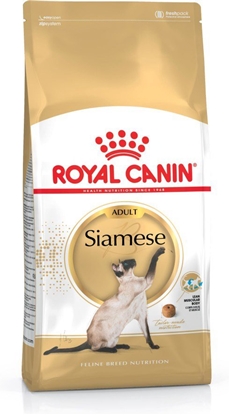 Изображение ROYAL CANIN Siamese Adult - sausas kačių maistas - 2 kg