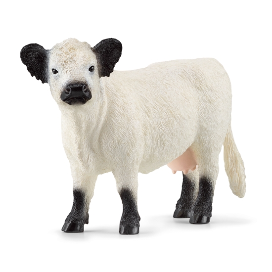 Picture of Figurka Schleich SCHLEICH FARM WORLD Galloway Cow