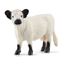 Attēls no Figurka Schleich SCHLEICH FARM WORLD Galloway Cow