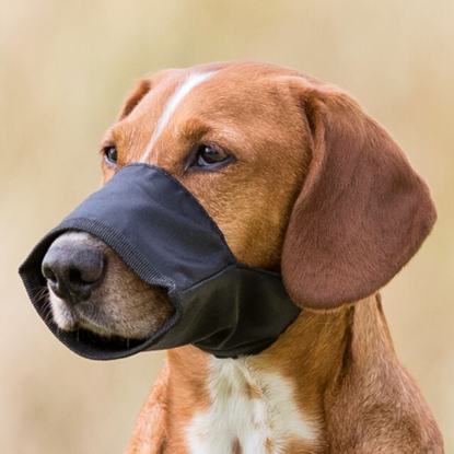 Attēls no Uzpurnis suņiem - Trixie Muzzle, Nylon. Size XS, S