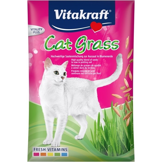 Изображение VITAKRAFT Cat Grass - grass seeds - 50 g