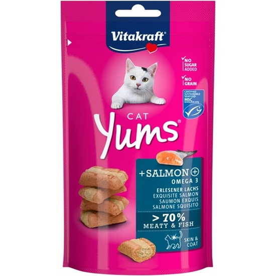 Picture of VITAKRAFT Cat Yums Salmon - cat treats - 40 g