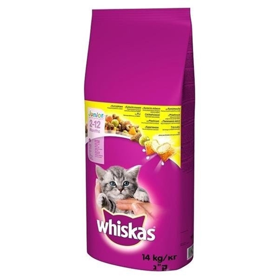 Picture of WHISKAS Junior su vištiena - sausas kačių maistas - 14kg