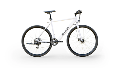 Picture of Hybrid E-Bike | 250 W | 21 " | White Glossy