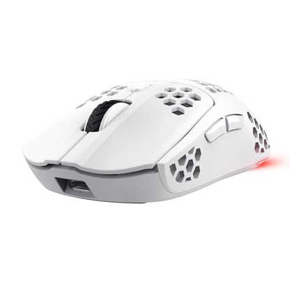 Изображение Datorpele Trust GXT929W Helox WRL White