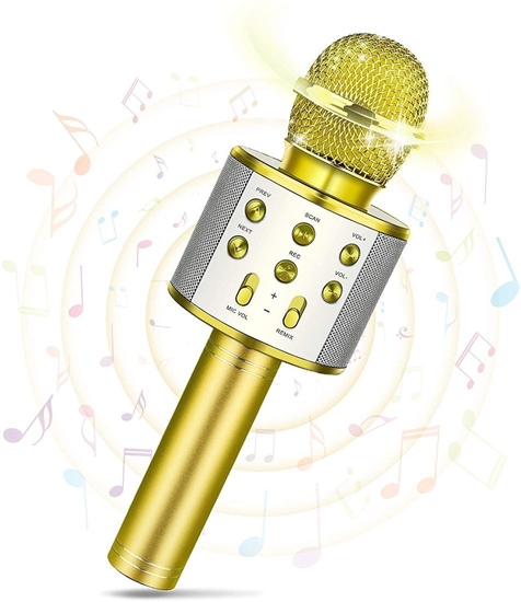 Picture of RoGer Bluetooth Microphone Karaoke With Build In Speaker / 2x 5W / Aux / USB / MicroSD / Gold