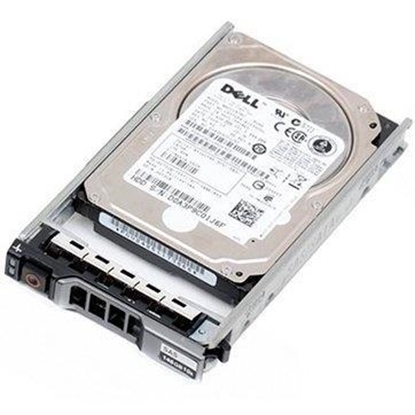 Изображение SERVER ACC HDD 12TB 7.2K NLSAS/3.5'' G14-G16 161-BCJW DELL