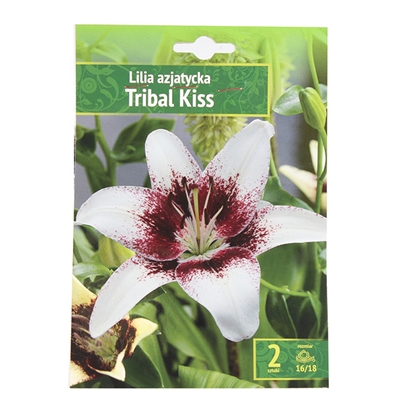 Attēls no Sīpolpuķes Lilijas Āzijas Tribal Kiss