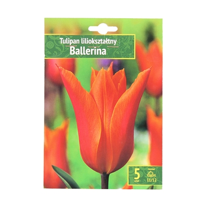 Изображение Sīpolpuķes Tulpes Ballerina 11/12 5gab.