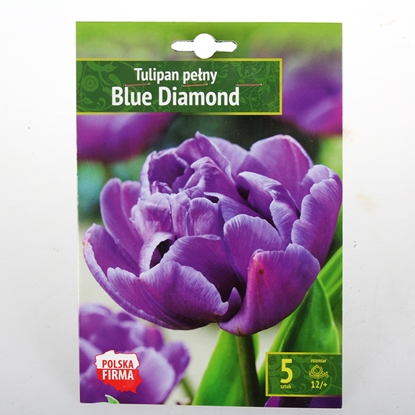 Изображение Sīpolpuķes Tulpes Blue Diamond 5gab