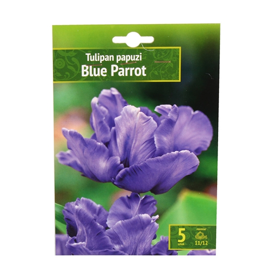 Изображение Sīpolpuķes Tulpes Blues Parrot 11/12 5gab.