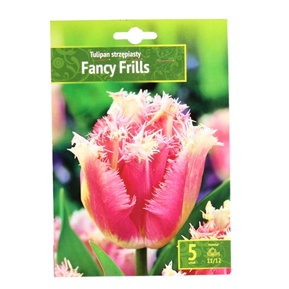 Изображение Sīpolpuķes Tulpes FANCY FRILLS 11/12 5gab.