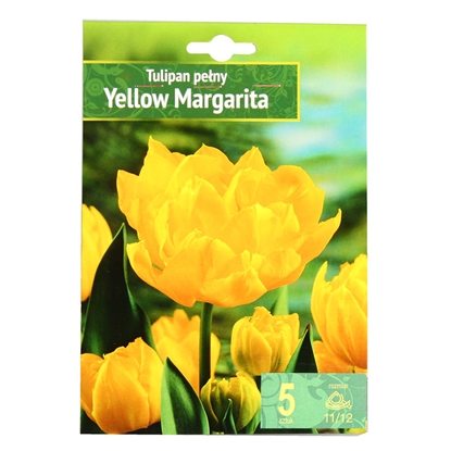 Изображение Sīpolpuķes Tulpes Yellow Margarita 11/12 5gab.