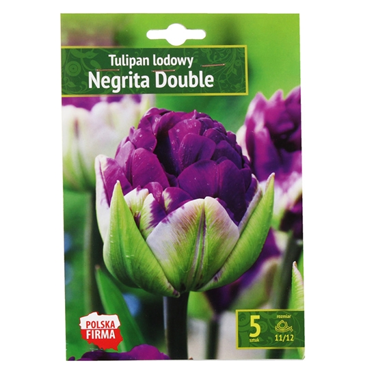 Изображение Sīpolpuķes Tulpes Negrita Double 11/12 5gab.