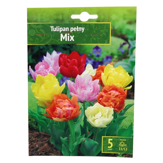 Изображение Sīpolpuķes Tulpes pild.mix 5gab