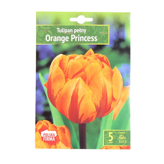 Picture of Sīpolpuķes Tulpes pildītās Orange Princess 11/12 5gab.