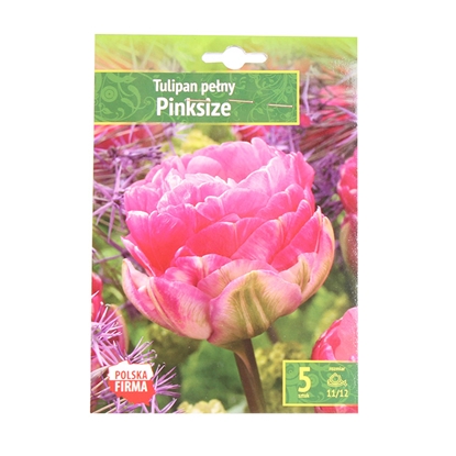 Изображение Sīpolpuķes Tulpes Pinksize 11/12 5gab.