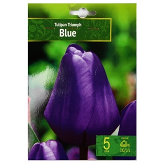 Изображение Sīpolpuķes Tulpes Triumfa gr.Blue 5gab.