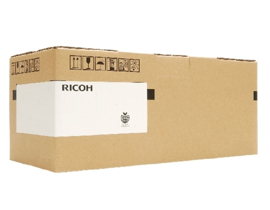 Изображение Ricoh (D197-9641) Black Developer