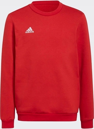 Attēls no Adidas Bluza dla dzieci adidas Entrada 22 Sweat Top czerwona H57473 140cm