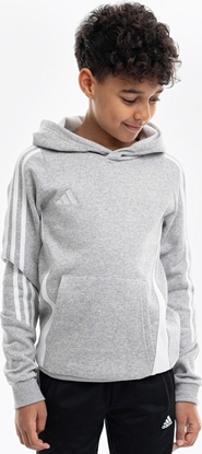 Attēls no Adidas Bluza dla dzieci adidas Tiro 24 Hooded Sweat szara IR7505 140cm