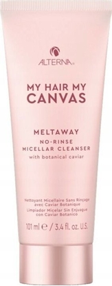 Attēls no Alterna Alterna, My Hair.My Canvas. Meltaway, Vegan Botanical Caviar, Hair Leave-In Shampoo, For Cleansing, 101 ml Unisex