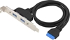 Picture of Conceptronic EMRICK11B 19-Pin Dual USB-Extension