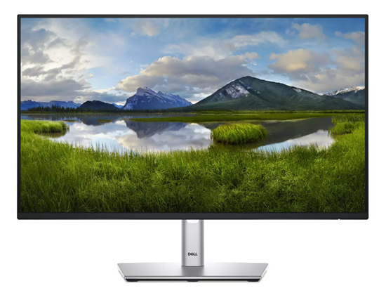 Изображение DELL P2425HE Monitor 24" / 1920 x 1080