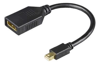 Attēls no DELTACO DisplayPort - miniDisplayPort adapteris, 4K UHD 60Hz, 0.2m, juodasNaudodami šį „DisplayPor