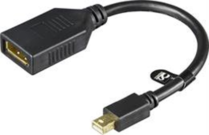 Attēls no DELTACO DisplayPort adapter, Mini DisplayPort 20 pin for DisplayPort 20-pin ho with audio, Ultra HD