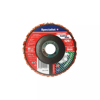 Изображение Disks slīpēšanas abrazīvs Premium 125mm + Specialist