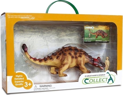 Изображение Figurka Collecta Dinozaur Ankylozaur w opakowaniu