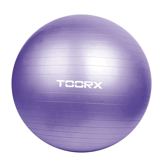 Изображение Gimnast. kamuolys 75cm TOORX AHF-013 +pompa